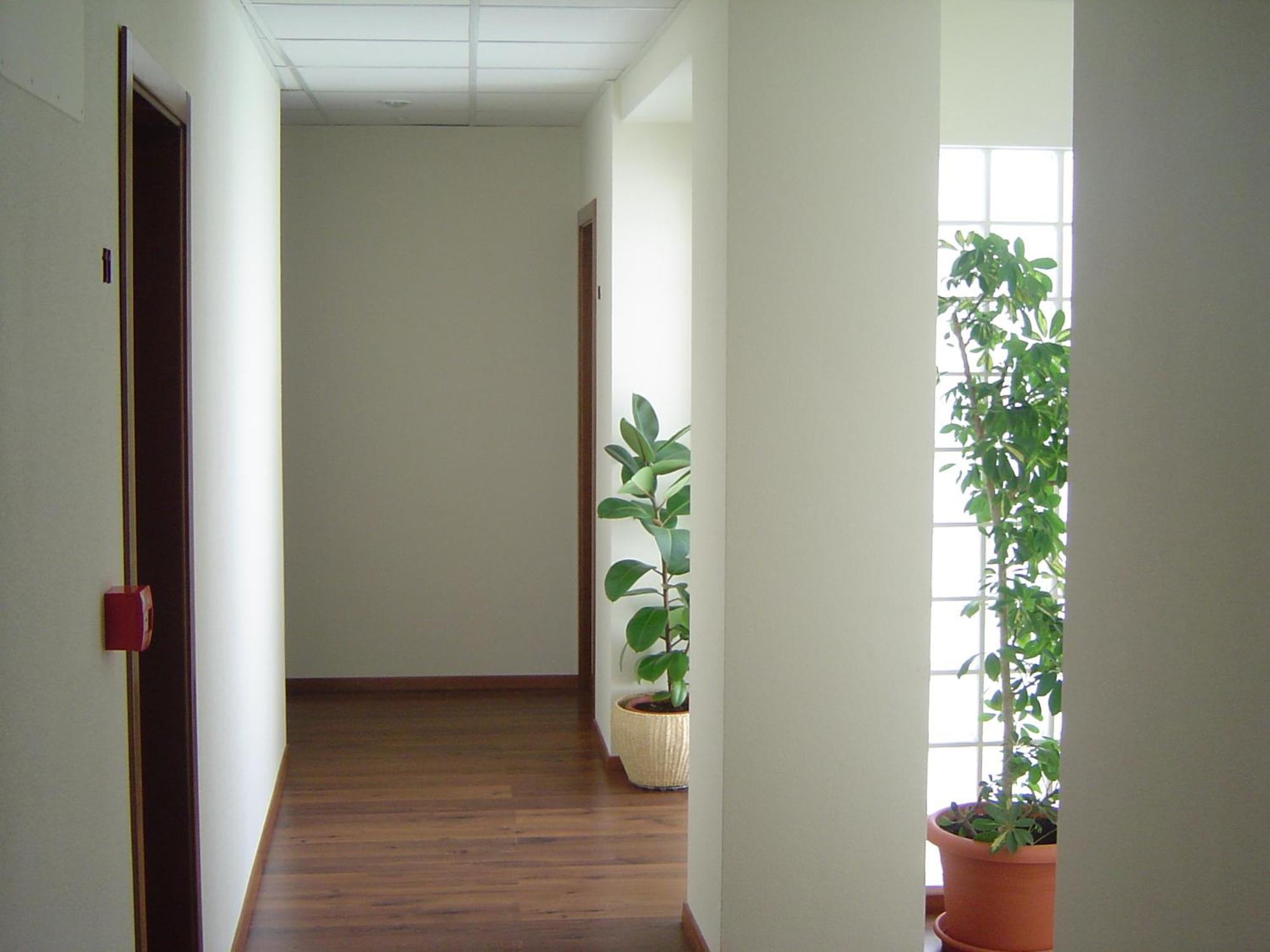 Hostal El Estudio Almansa Εξωτερικό φωτογραφία