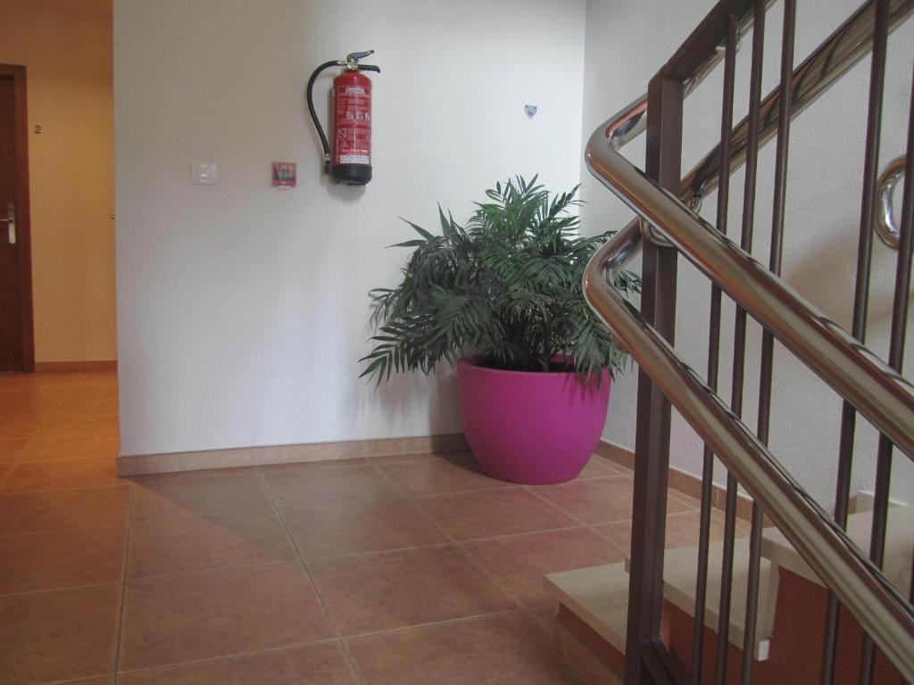 Hostal El Estudio Almansa Εξωτερικό φωτογραφία