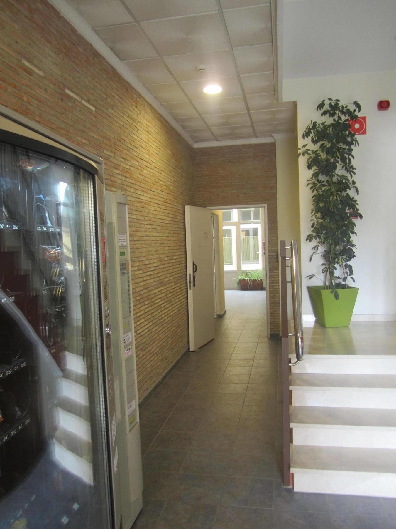Hostal El Estudio Almansa Εξωτερικό φωτογραφία